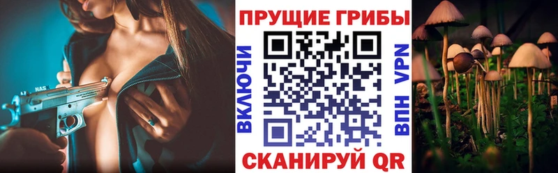 Псилоцибиновые грибы прущие грибы  Заволжск 