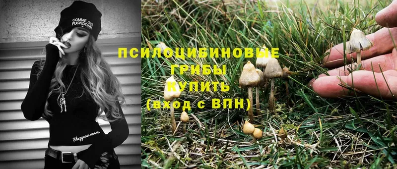 Псилоцибиновые грибы Magic Shrooms  Заволжск 